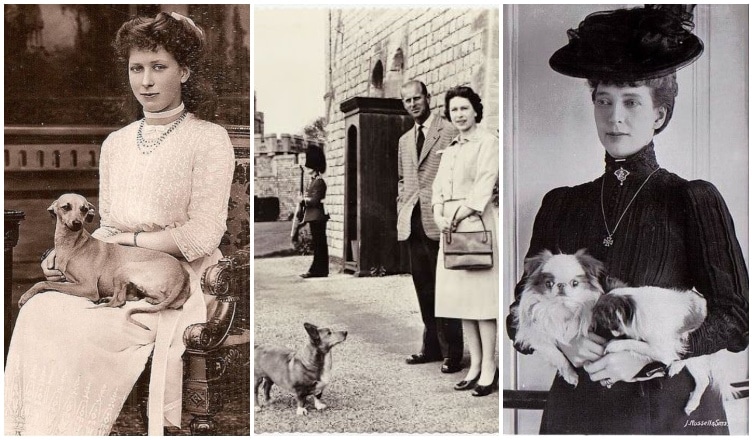 ﻿Milyenek Erzsébet királynő kutyái? Királyi családok kiskedvenceikkel, fotókban