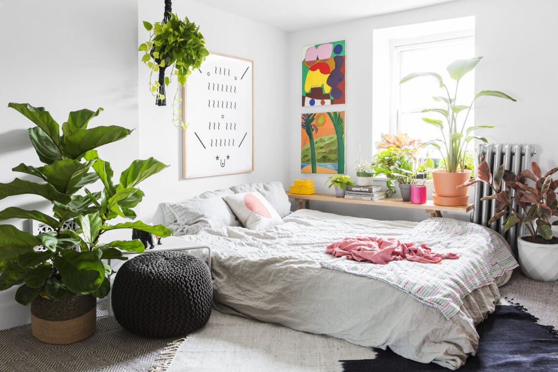 Van 4 olyan növény, amit ha a hálószobában tartasz, jobban fogsz aludni!