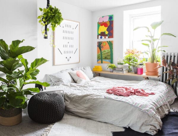 Van 4 olyan növény, amit ha a hálószobában tartasz, jobban fogsz aludni!