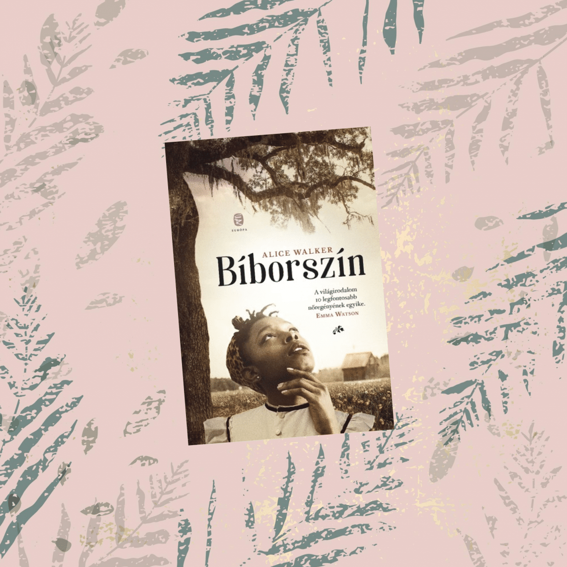 Alice Walker: Bíborszín. (Dezsényi Katalin fordítása.)