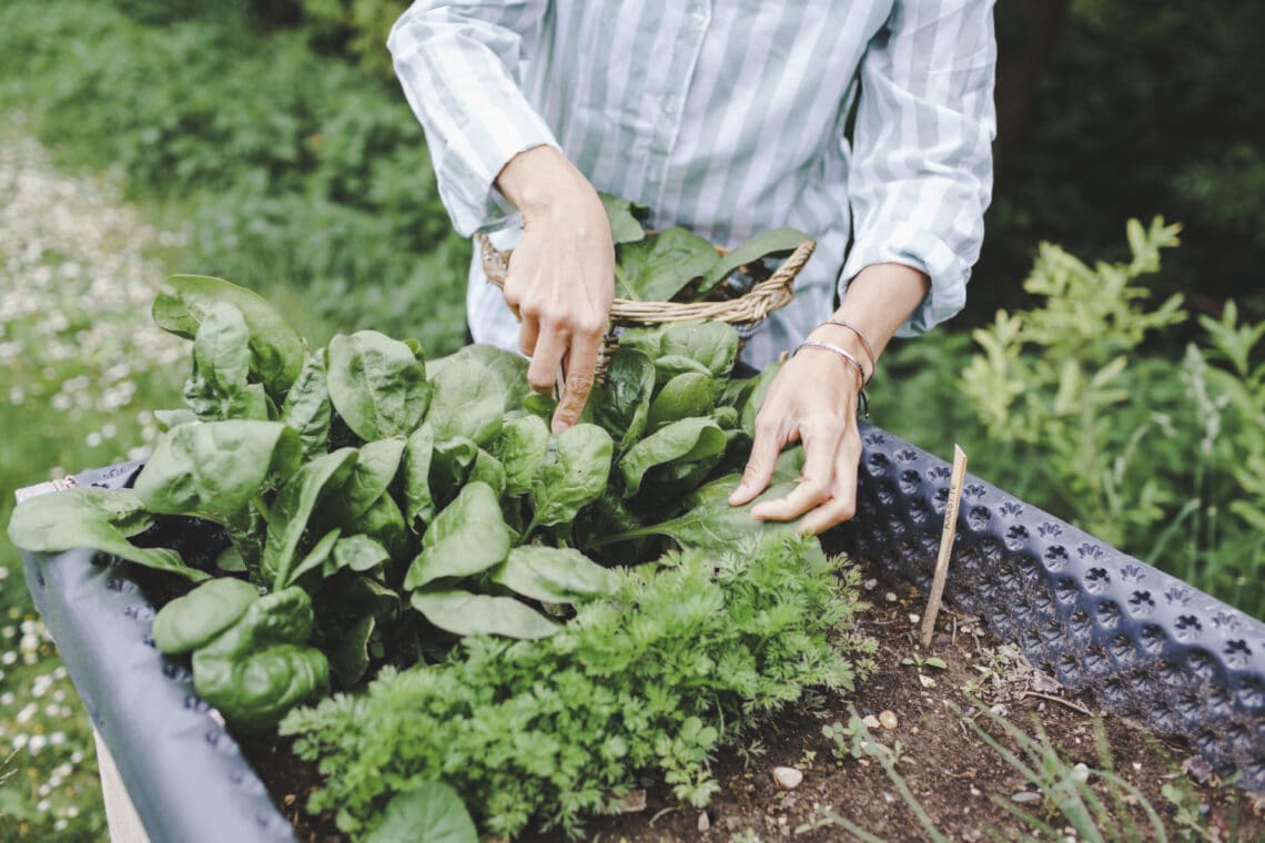 5 ok, amiért igazi gyógyír a kertészkedés