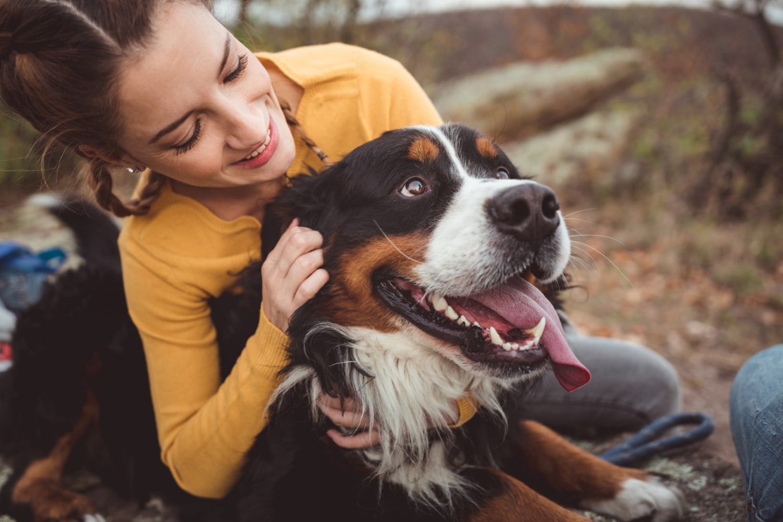 Képesek megjósolni az epilepsziás rohamot! 10 meghökkentő tény a kutyákról