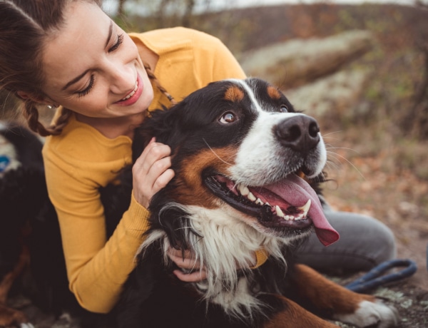 Képesek megjósolni az epilepsziás rohamot! 10 meghökkentő tény a kutyákról