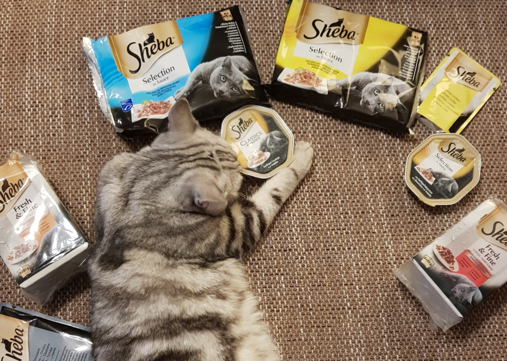 Flódni cica terméktesztel