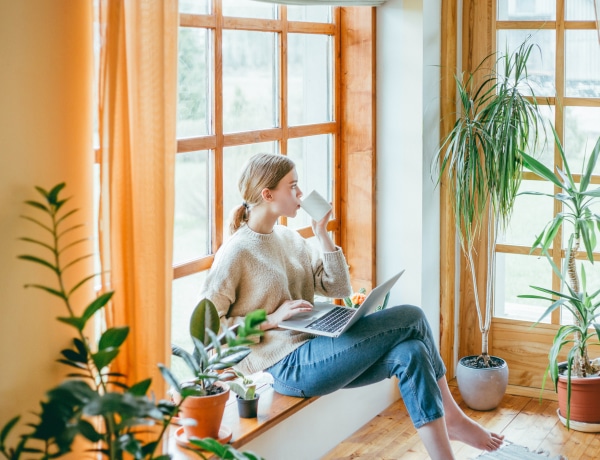 Melyik csillagjegyben születtél? Ez a szobanövény illik a személyiségedhez