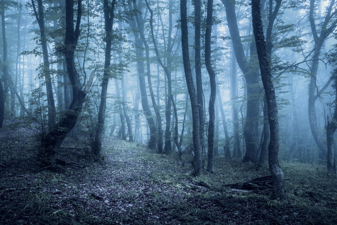 A barátaikat a szemük láttára ették meg a cápák. 5 valós horror történet