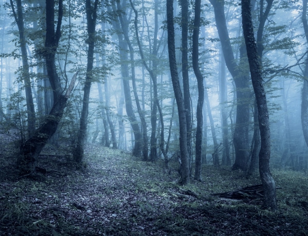 A barátaikat a szemük láttára ették meg a cápák. 5 valós horror történet