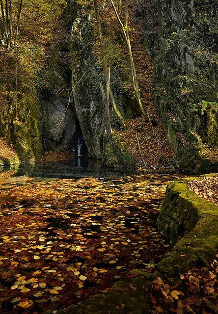 Bükki Nemzeti Park