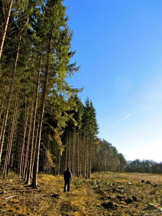 Őrségi Nemzeti Park