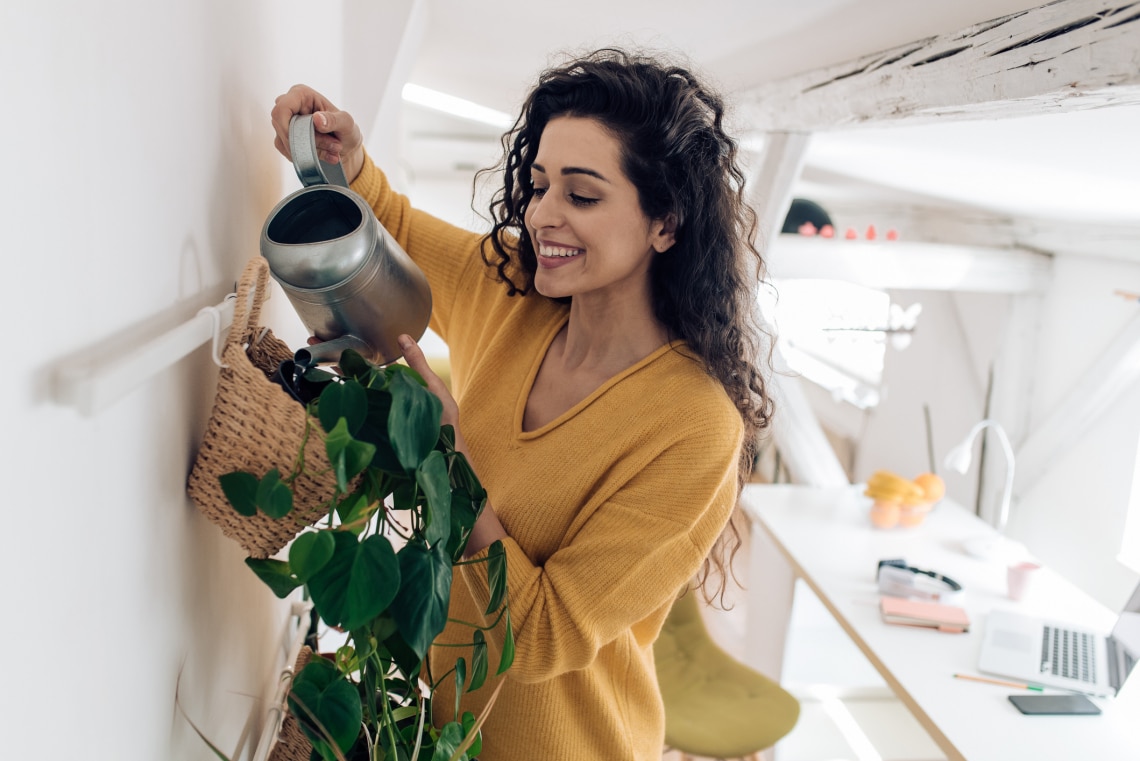 Karantén idején: Segítenek a szobanövények a mentális egészség javításában