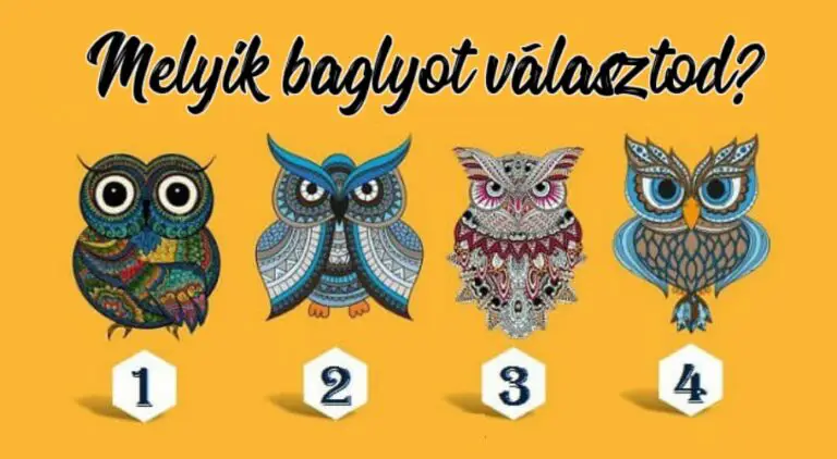 Ha a második baglyot választottad