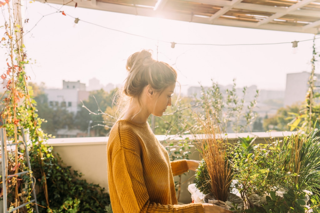 Szoktasd őket a kinti klímához
