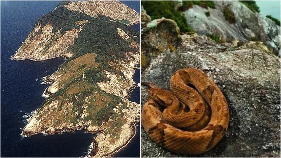 A kígyók szigete