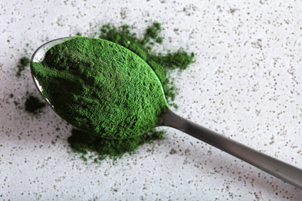 Egészséges spirulina alga
