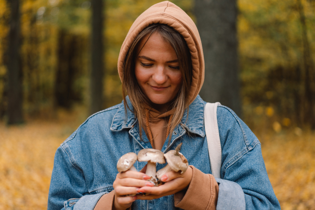 Tippek erdei gombászáshoz