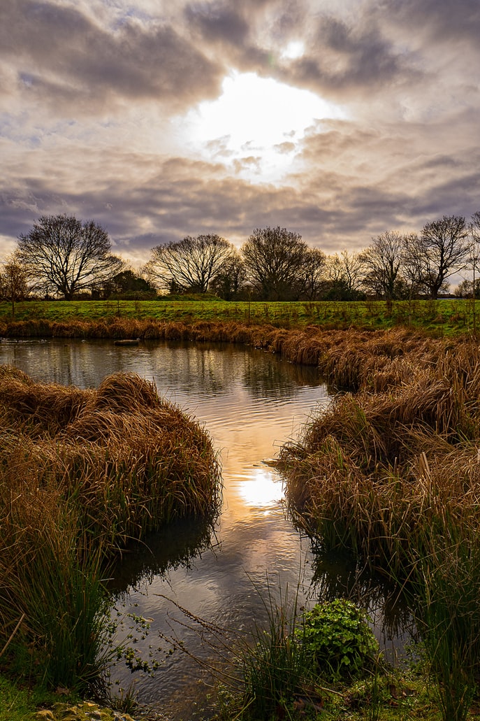 A mocsarak, amelyek most még a Föld jelentős részét kiteszik, teljesen megszűnnének létezni.