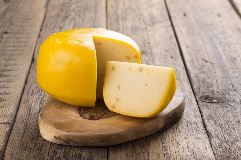 Gouda