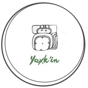 YAXKIN November 23. - december 12.
