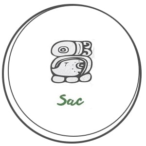SAC Február 11. - március 2.