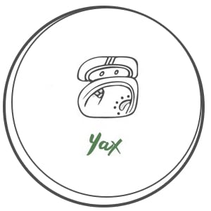 YAX Január 22. - február 10