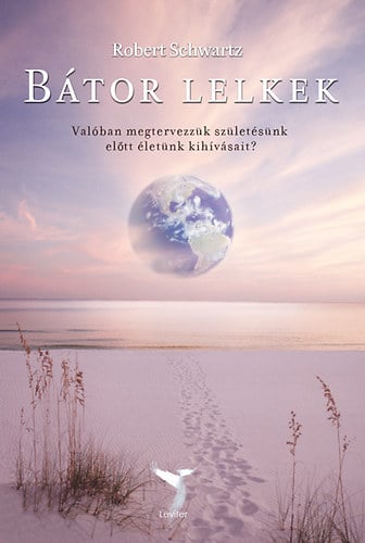 Robert Schwartz: Bátor lelkek