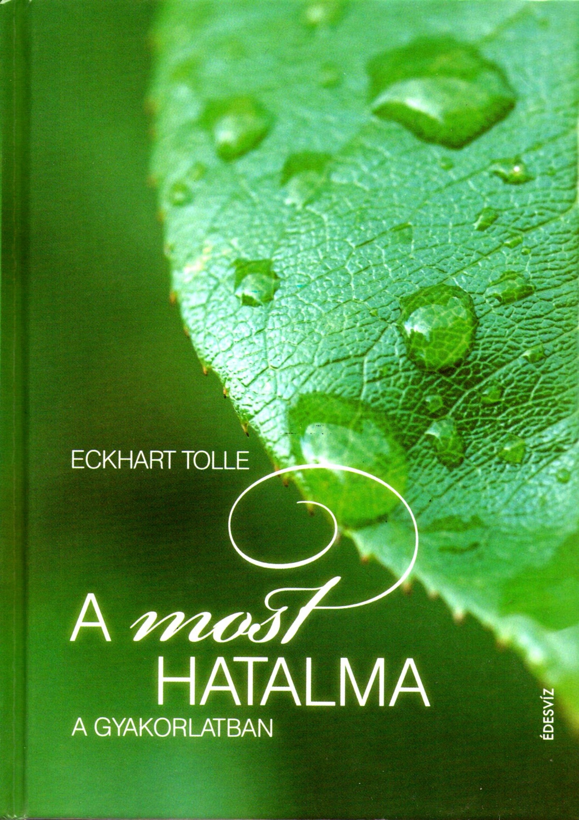Eckhart Tolle: A most hatalma a gyakorlatban