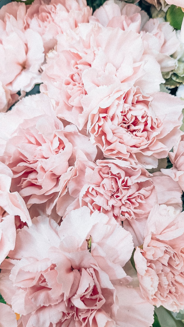 Rák – Pink
