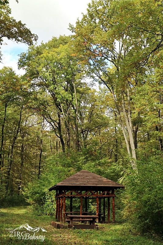 Pintér-hegyi tanösvény, Zirc