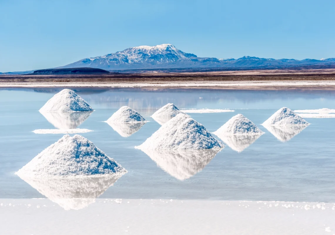Bolíviai sómező