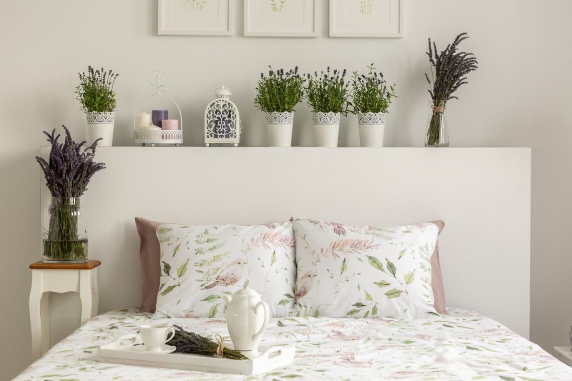 7 szobanövény, ami különleges illattal tölti meg a lakásodat