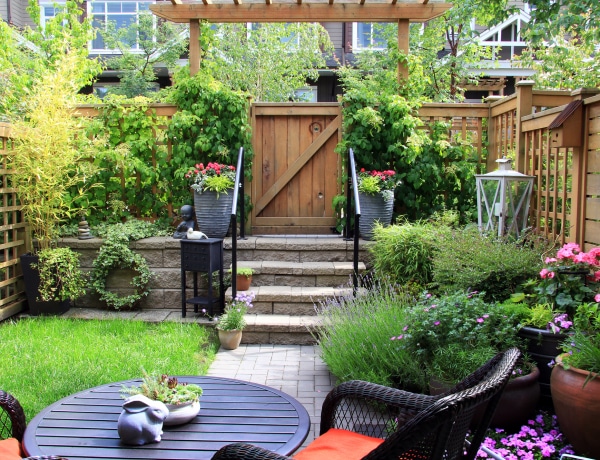 8 kerti megoldás, hogy ne lásson be a szomszéd az udvarodra