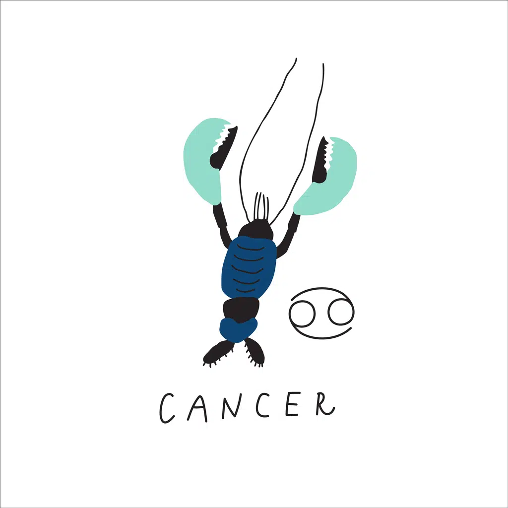 Rák