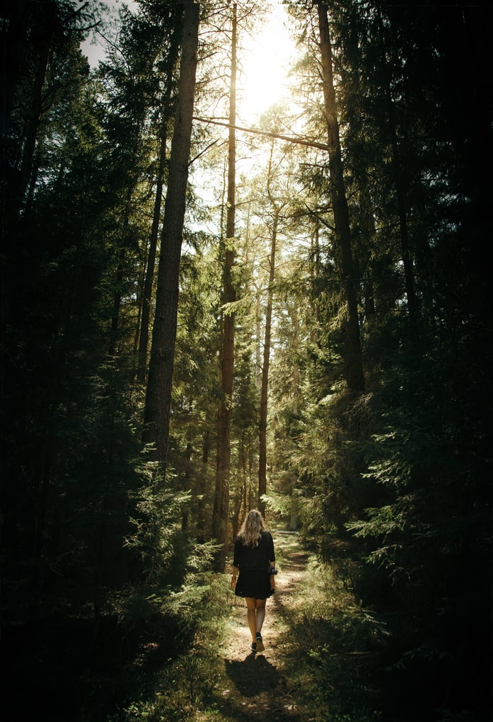 Mit érzel, amikor sétálsz egy erdőben, parkban, közel a természethez?
