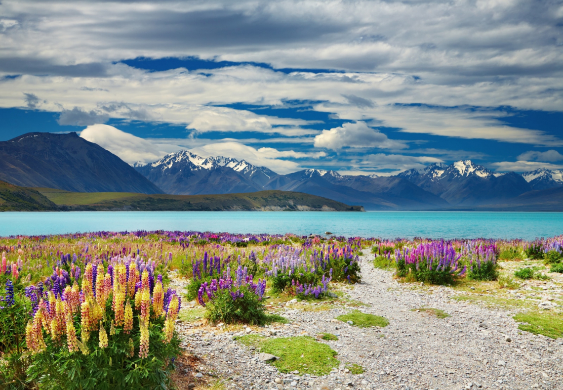 Tekapo-tó, Új-Zéland