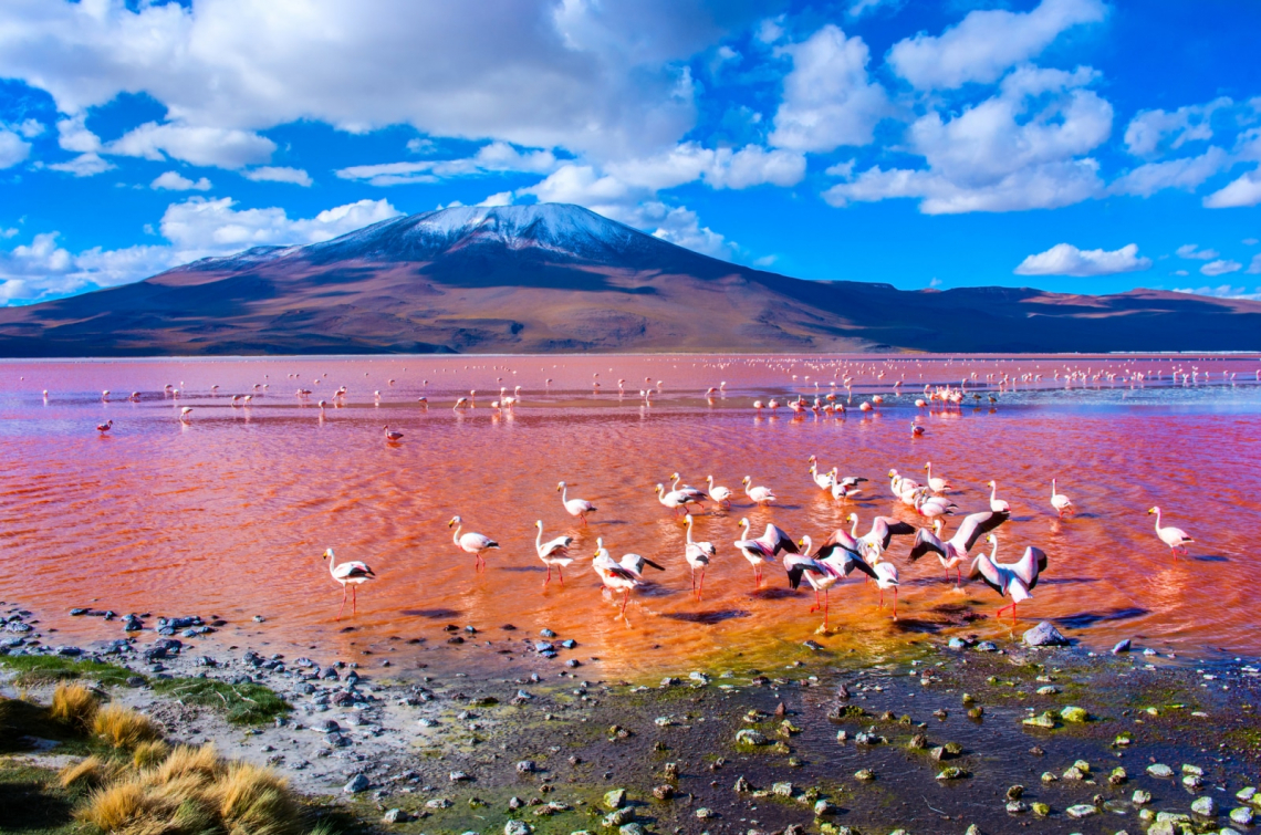 Laguna Colorada, Bolívia