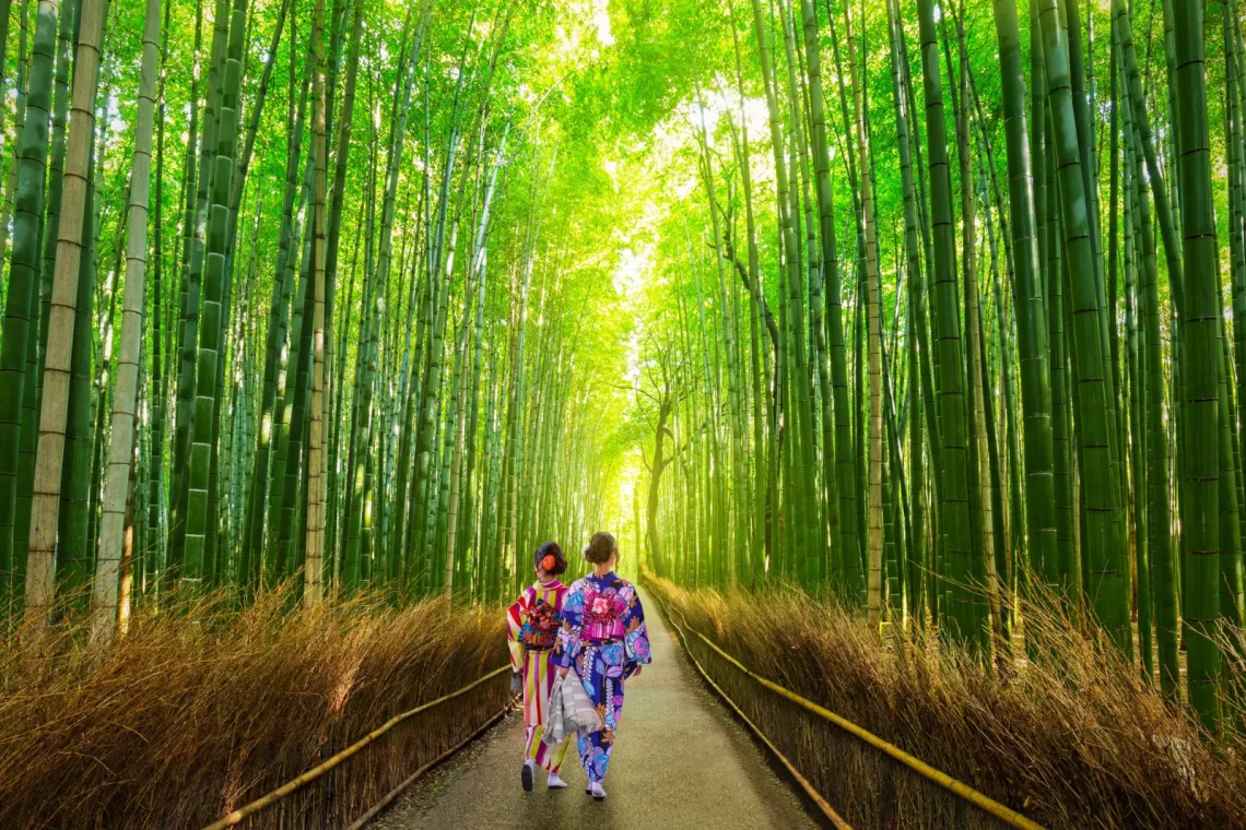 Arashiyama bambuszerdő, Japán