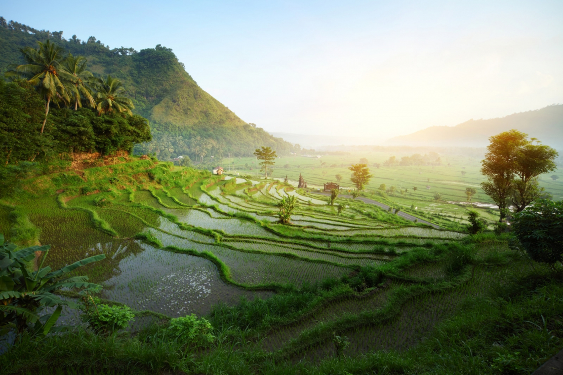 Ubud, Bali