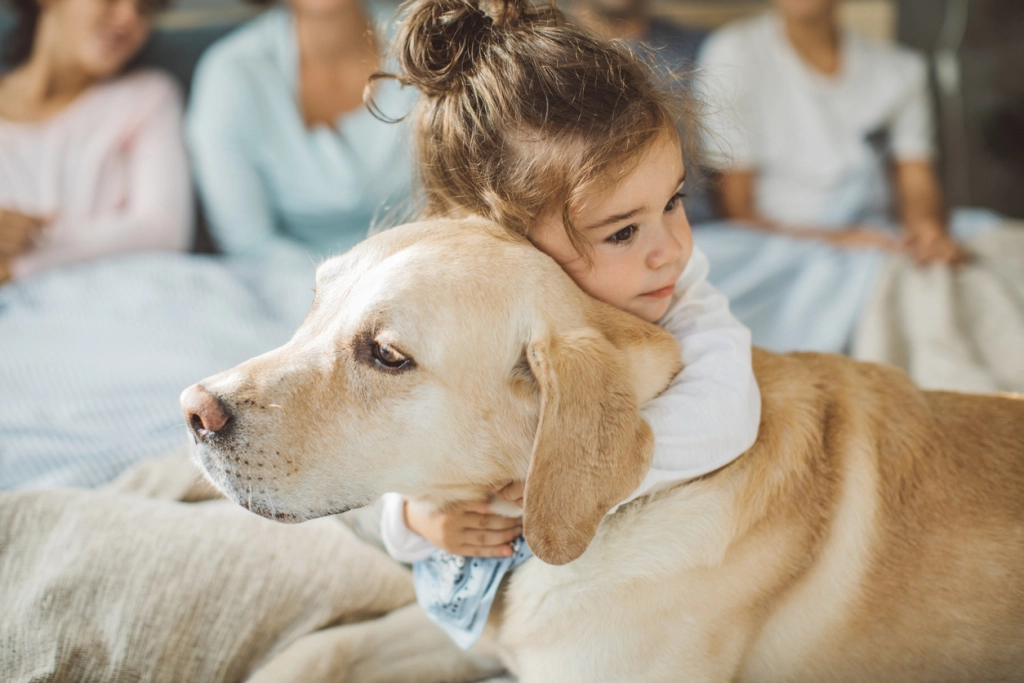 2. Labrador retriever