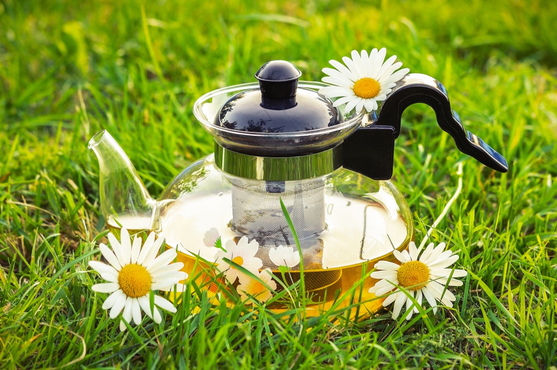 Kamillatea
