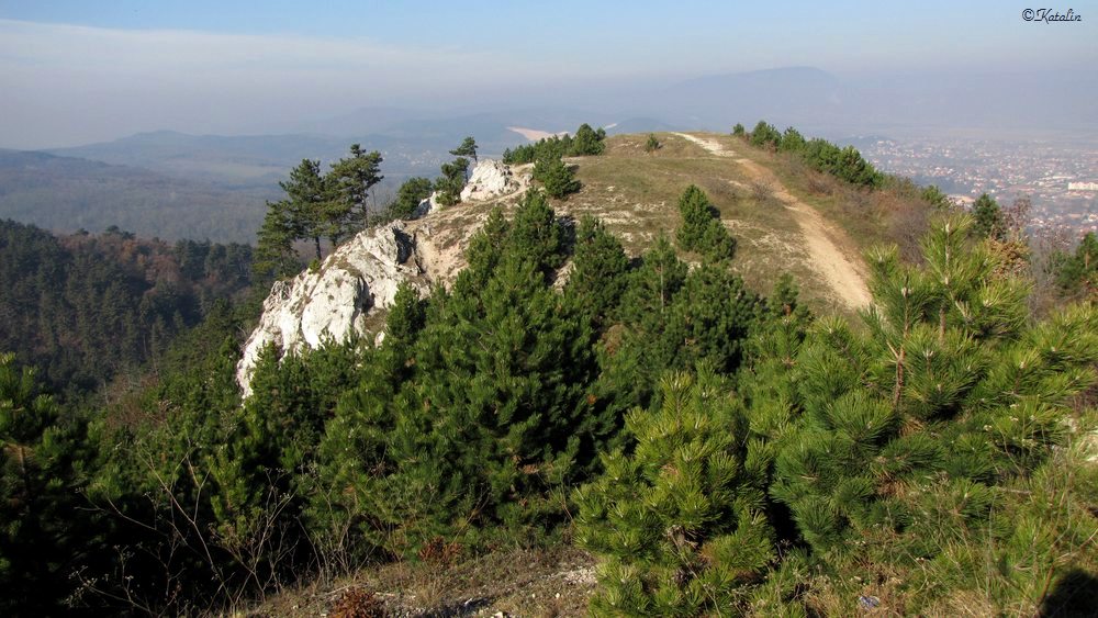 Nagy-Szénás, Zsíros-hegy