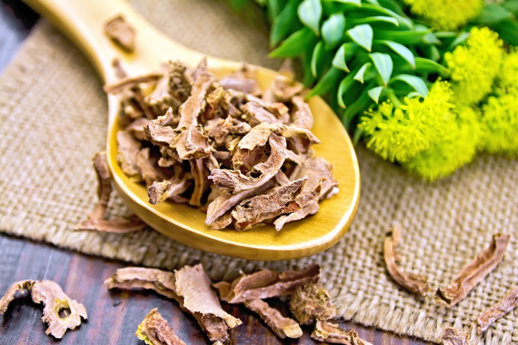 Rhodiola rosea a délutáni álmosság ellen