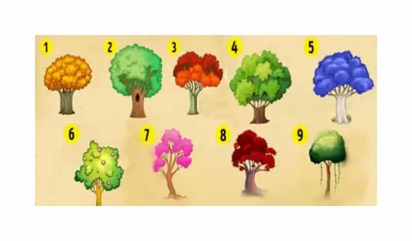 Ha a harmadik fát választottad
