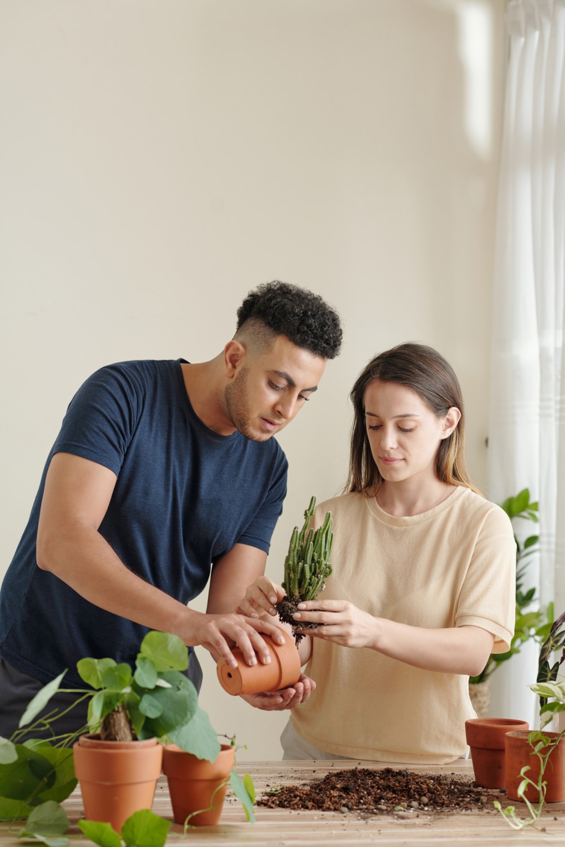 Közös érdeklődés