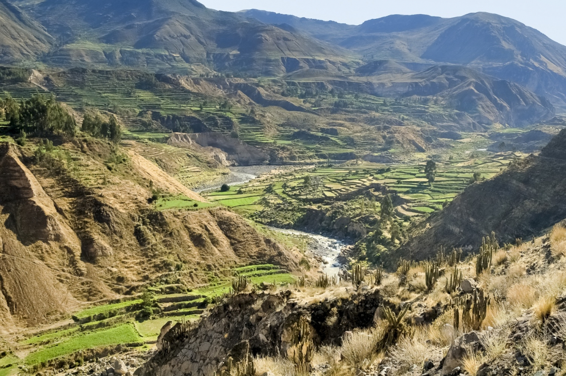 Colca-kanyon, Peru
