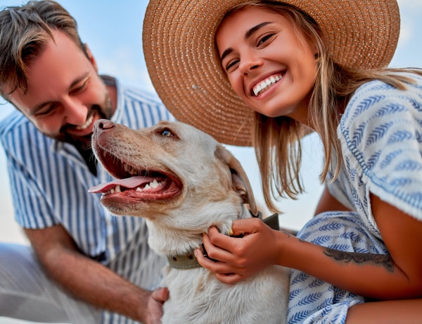 Nyaralás kutyával: 10 tanács, hogy igazán élvezni tudjátok