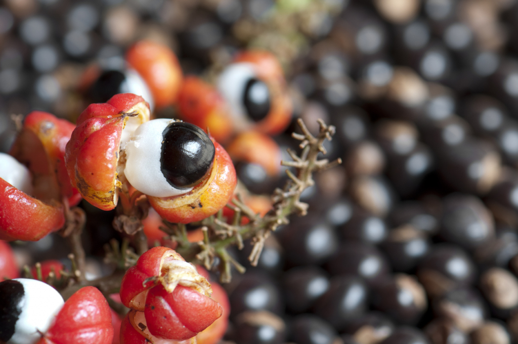 A guarana koffeintartalma