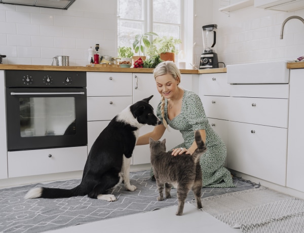 A macskások idegesebbek? 10 óriási különbség kutya- és macskagazdik közt