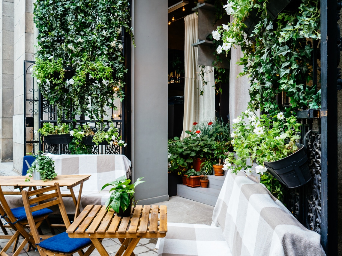 Éjjel világító növények – Elsöprő sikerük van a holdkerteknek