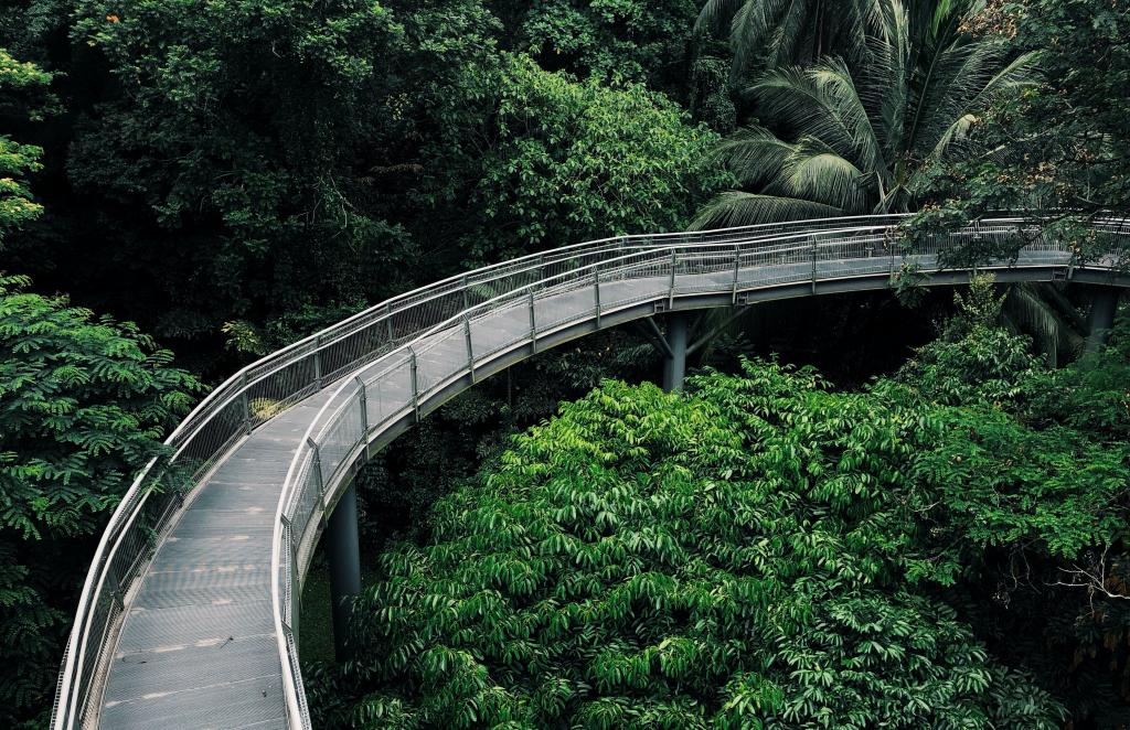 Zöld területek Szingapúrban