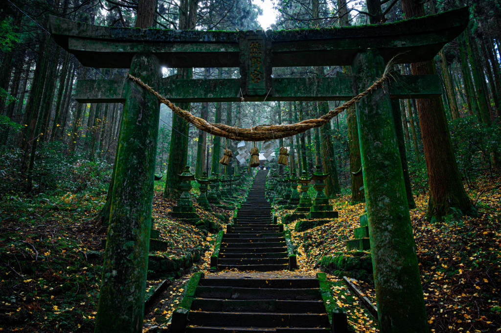 Japán erdő